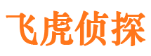 赤壁市侦探调查公司